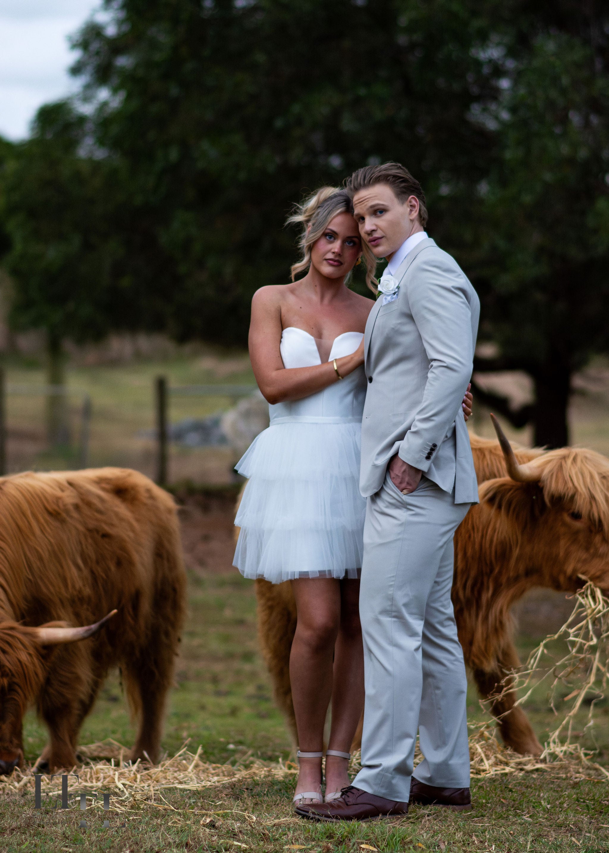 Two people standing together with highland cows in the background